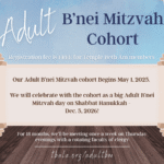 Adult B'nei Mitzvah Class